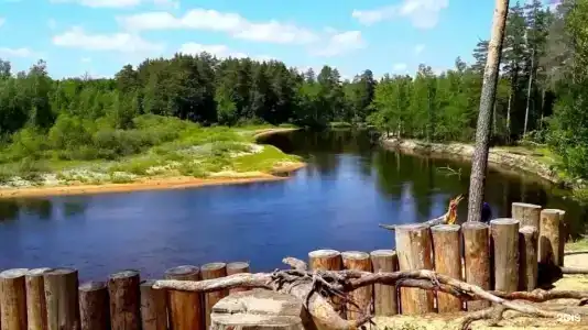 НиКиТа - 10