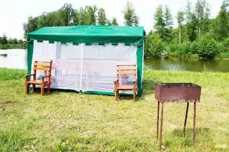 Сафари Парк - 49