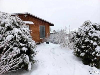 на Тригорском - 0