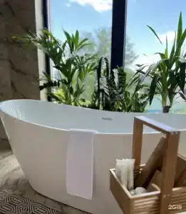 Little Palm - 10