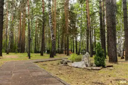 Лесной парк-отель - 17