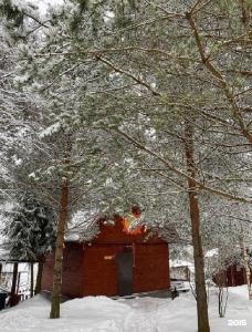 Клевер - 90