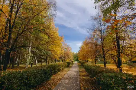 Березки - 3