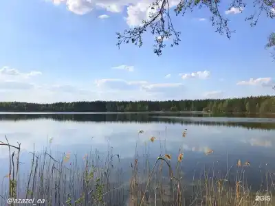 Домики в лесу - 2