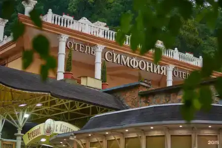 Симфония - 29