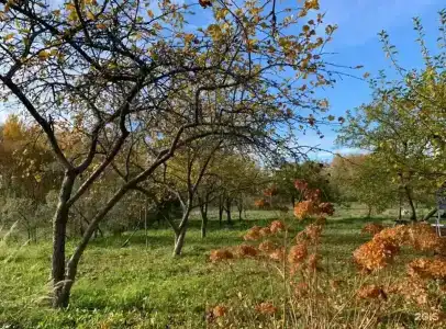 Гостевой дом в Астахново - 8