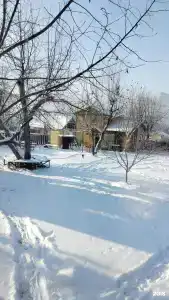 Яблоневый сад - 41
