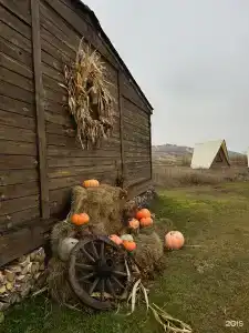 Альфа - 26