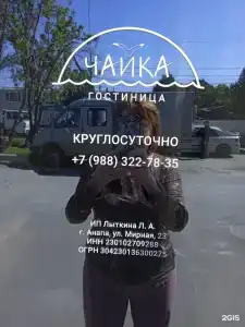 Чайка - 23