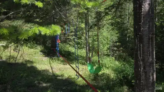 Шале Под Кедрами - 27