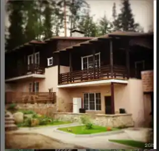 Lake & Forest - 27