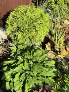 Гостиный Дворъ - 33