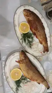 База отдыха у Марины - 1