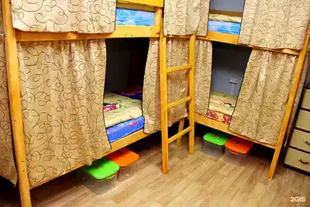 Медуза - 13