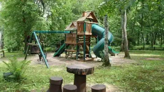 Березовая роща - 7