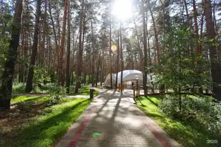 Мечта - 36
