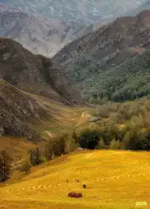 Антарес - 19