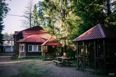 Cosmos Красное Озеро - 104