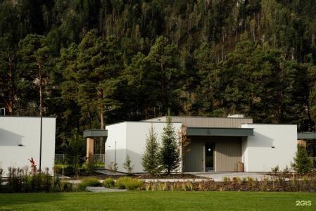 Грушевый цвет - 59