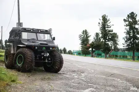 Золотой Кедр - 78
