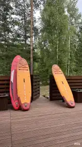 Шишки - 4
