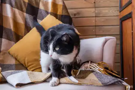 Воскресение - 2