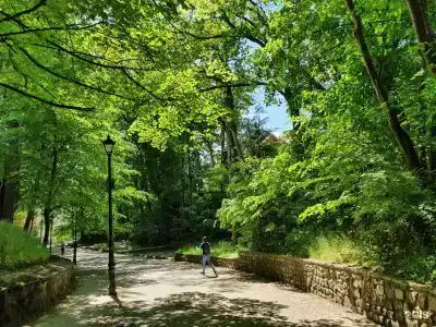 GreenDom - 20