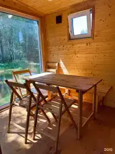 Forest time - 1