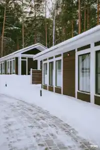 Клевер - 74
