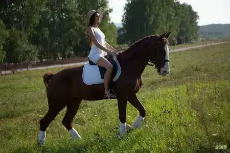Валли Санни - 44