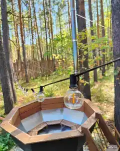 Лес - 27