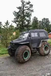 Золотой Кедр - 82