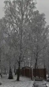 Устали - 46