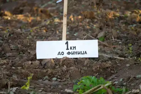 Спас-Каменка - 65