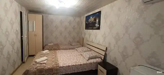 Камелия - 17