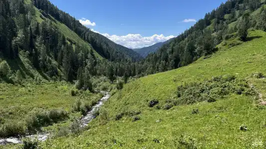 Paramono - 5