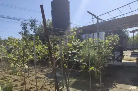 Акуна Матата - 10