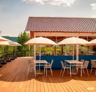 Маламут Ленд - 2