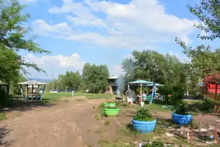 Василёк - 31