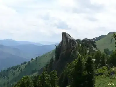 Амаду - 72