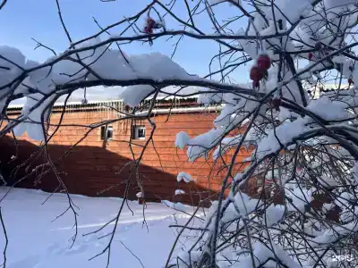 Ивушки - 30