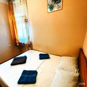 Киви и Цитрус - 72