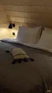 Тунгуска - 76