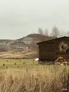 Альфа - 37