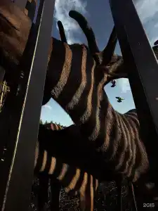 Как дома - 28