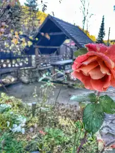 Радевичи - 36