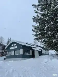 White Hill - 9