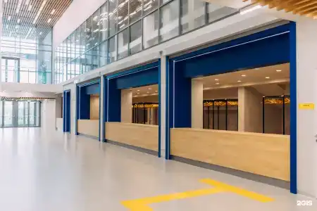 Volleygrad sports - 99