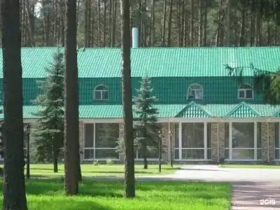 Сосновый бор - 10