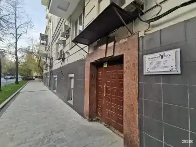 Вежливый Лось Home Boxes на Кутузовской - 15